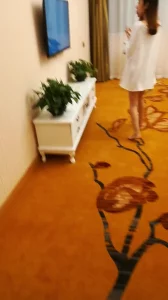 美丽的女房东